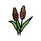 sorghum plant food color icon vector illustration