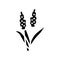 sorghum plant food glyph icon vector illustration