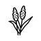 sorghum plant food line icon vector illustration