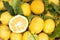 Sorrento lemons on the market