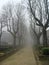 Sorrow alley in autumn in the fog. Mysterious Gothic.