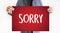 SORRY Forgive Regret Oops Fail False Fault Mistake Regret Apolo