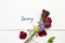 Sorry message card handwriting with red rose flowers