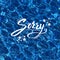 Sorry vector illustration over blue water