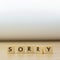 Sorry word written in  cube on wooden floor on white background