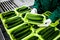 Sorted cucumbers on a conveyor belt on manufacture. Agriculture technology