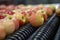 Sorted and Graded Clean Fresh Apples on Conveyor Belt