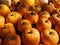 Sorted orange pumpkins for sale. Harvest time.