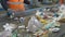 Sorting of garbage on the conveyor of the waste recycling plant, Russia