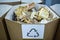 Sorting recyclables. The sorted wooden rubbish, is placed in a container with the appropriate marking