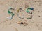 SOS inscription and woman sunbathes on the beach nearby. Environmental problem. Ecology concept. Plastic on the beach