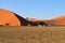 SOSSUSVLEI, NAMIBIA, DUNE 45