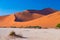 Sossusvlei Namibia, travel destination in Africa. Sand Dunes and clay salt pan with acacia trees, Namib Naukluft National Park, Na