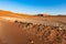 Sossusvlei Namibia, travel destination in Africa. Sand Dunes and clay salt pan with acacia trees, Namib Naukluft National Park, Na