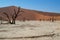 Sossusvlei Salt Pan Desert Landscape with Dead Trees, Dunes