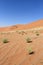 Sossusvlei sand dunes landscape in Nanib desert