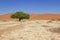 Sossusvlei sand dunes landscape in Nanib desert