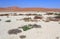 Sossusvlei sand dunes landscape in the Nanib desert near Sesriem