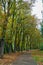 Sotillo Park and Orchard of the Bishop in Palencia. Spain