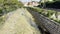 Soultz-Haut-Rhin, France - October 10 2023: Dwindling Waters: The Rimbach Streambed of Soultz-Haut-Rhin in Alsace\'s Embrace