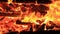 Sound of night crickets, water lapping and fire crackling. Extreme close-up video of a bonfire. Burning a bench for Guy Fawkes.