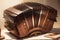 The Sound of Passion: Exploring the Bandoneon\\\'s Role in Tango Music