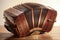 The Sound of Passion: Exploring the Bandoneon\\\'s Role in Tango Music