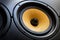 Sound Speaker. Loud Music Volume Concept Background. Professional studio equipment subwoofer close-up. High quality acoustic