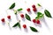Sour cherries with leaves Prunus cerasus fruits, top view, isolated