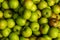Sour green plums close-up shot on a shop or apple kul