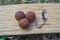 The Source Boilies with fishing hook. Fishing rig for carps, boilie rig, near the lake on a piece of wood