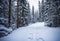 The only source of light in a secluded cabin in a snow-covered forest