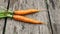 The source of vitamins A is fresh carrots. The child puts the harvested carrots on a wooden surface. A vegetable diet is good for