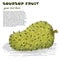 Soursop