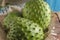 Soursop also graviola, guyabano is the fruit of Annona muricata