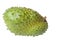 Soursop Close-Up