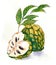 Soursop fruit