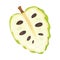 Soursop Fruit or Guanabana Cross Section Showing Creamy White Flesh and Black Seeds Vector Illustration