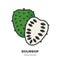 Soursop fruit icon, filled outline style vector