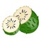 Soursop graviola icon cartoon vector. Annona food