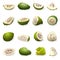 Soursop icons set cartoon vector. Annona muricata