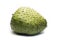 Soursop, Prickly Custard Apple. Annona muricata L.