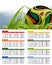 South Africa 2010 Match Schedule