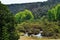 South Africa, East, Mpumalanga province, landscape, green, climate change, woods, bridge