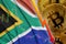 South Africa flag and cryptocurrency falling trend with many golden bitcoins