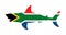 South Africa flag over Shark vector silhouette isolated on white. Sea predator. Danger on beach alert. Open jaws beast.