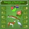 South Africa infographics, statistical data, sights