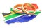 South Africa map with LGBT rainbow rings, 3D rendering