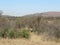 South Africa scenic bushveld landscape photograph with kudu under a blue sky