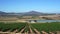 South Africa wineyard farm landscape new world wine